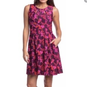 Jude Connally Steffi Sleeveless Shift Dress Small Pink Floral